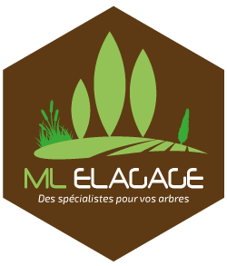 Photo logo MLELAGAGE